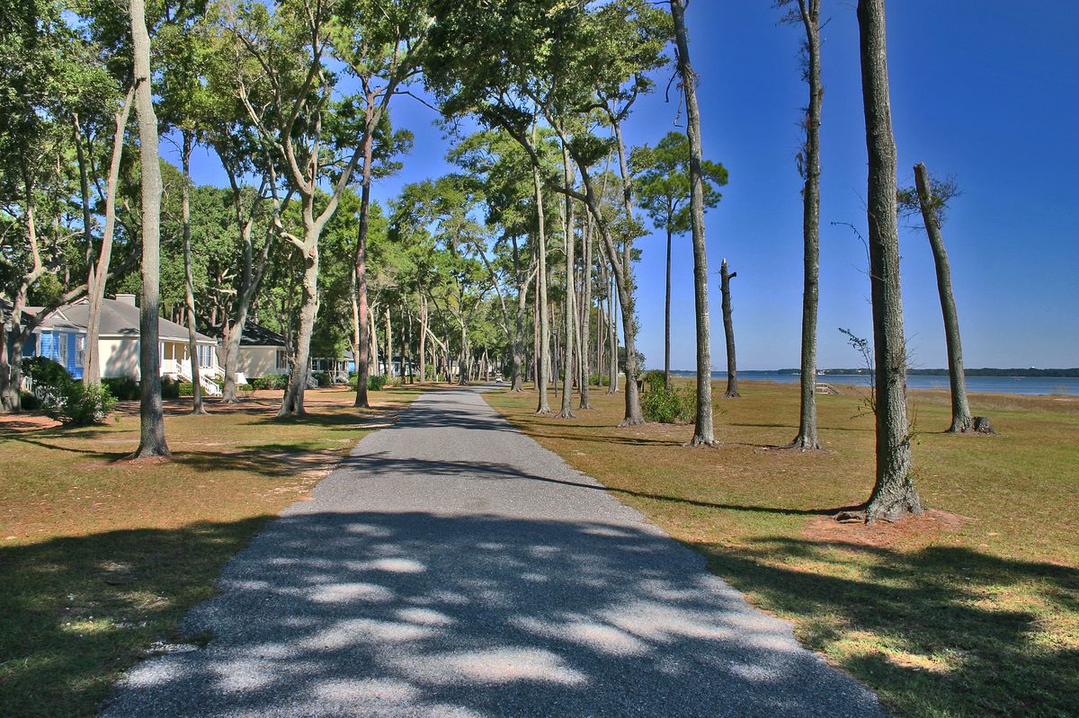 A tree-lined lane, the Avenue of the Oaks, leading toward the water on Daufuskie Island