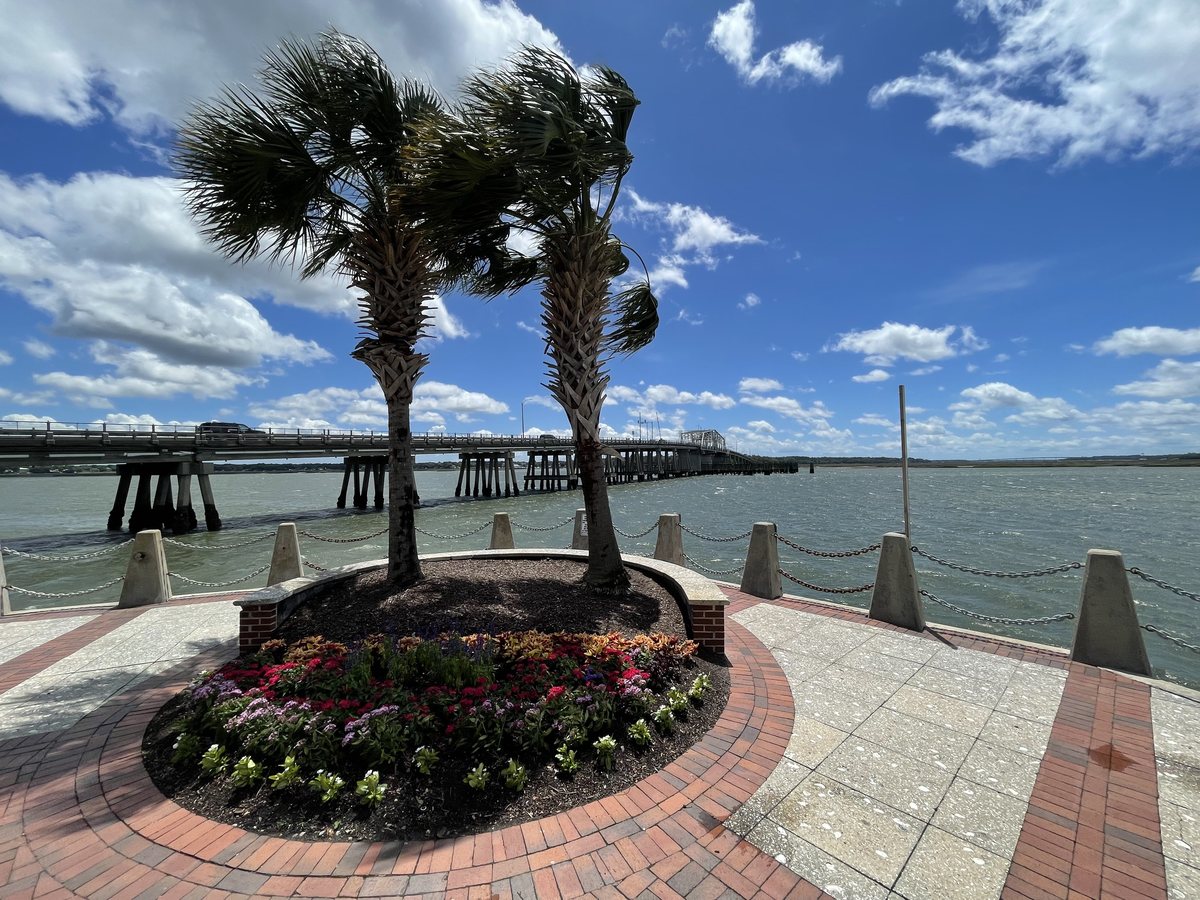 Two palms and the swing bridge. The promenade's point on the Beaufort River, the Woods Memorial Bridge behind — the most-viewed photo in this archive.