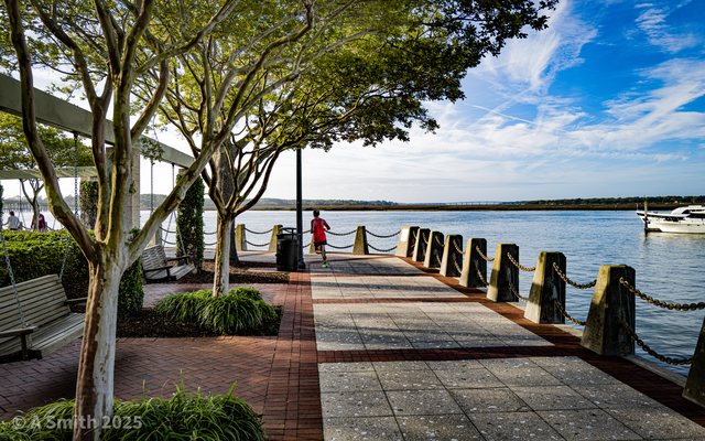 Shade on the riverwalk.
