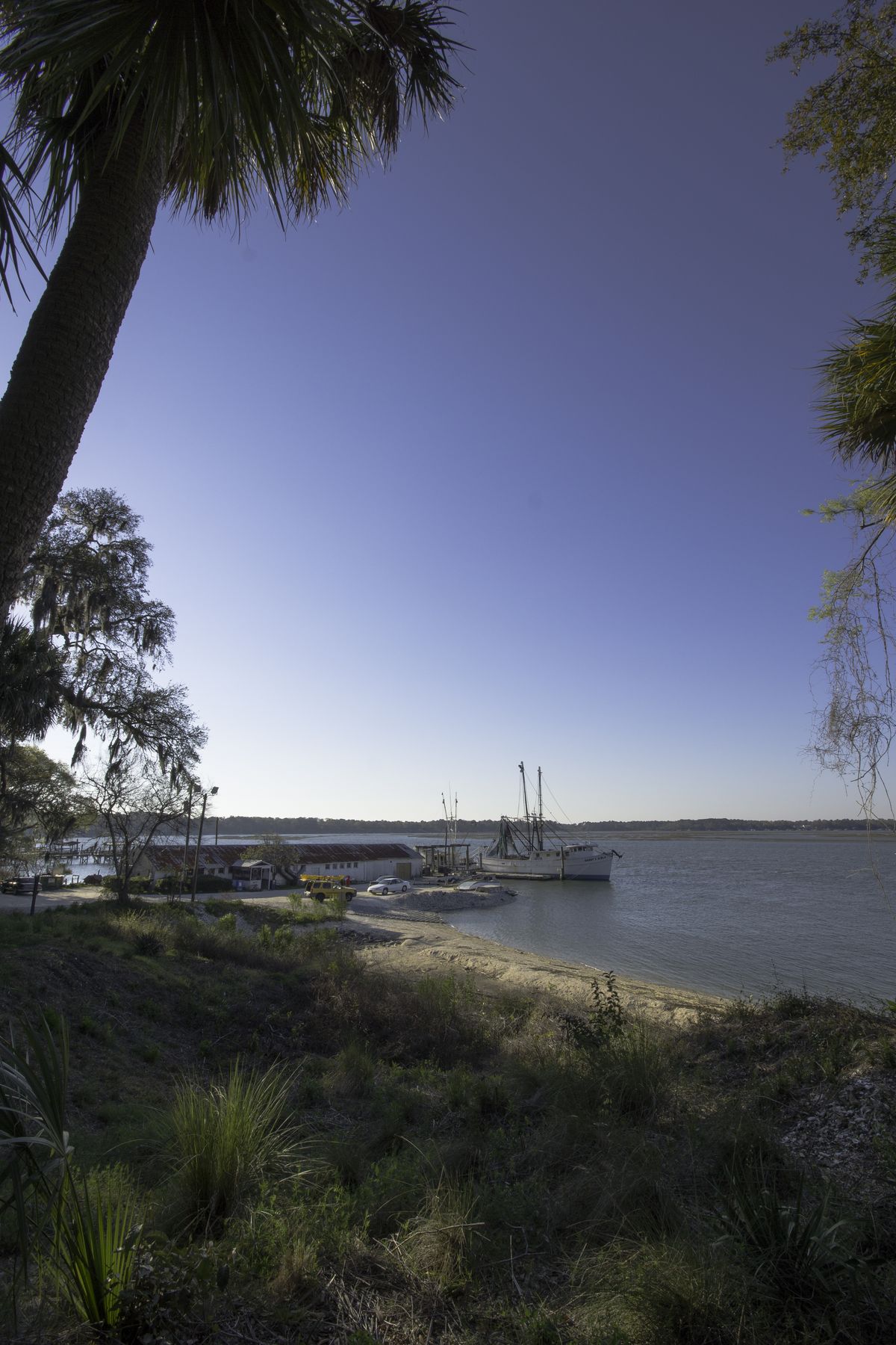 The Bluffton Oyster Company packing house and a shrimp boat at its dock on the May River, framed by a palmetto