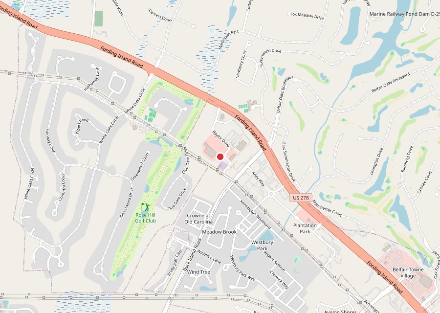 Map of China Wok in the Publix center in north Bluffton