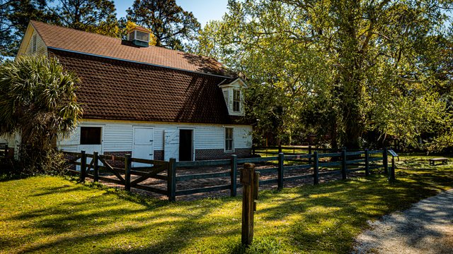 The stable. The white stable at Honey Horn, home base for the museum’s Marsh Tacky horses.