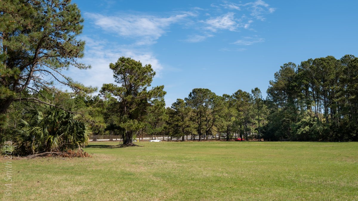The big field. Open pasture under a wide sky — the grounds run to 68 acres.