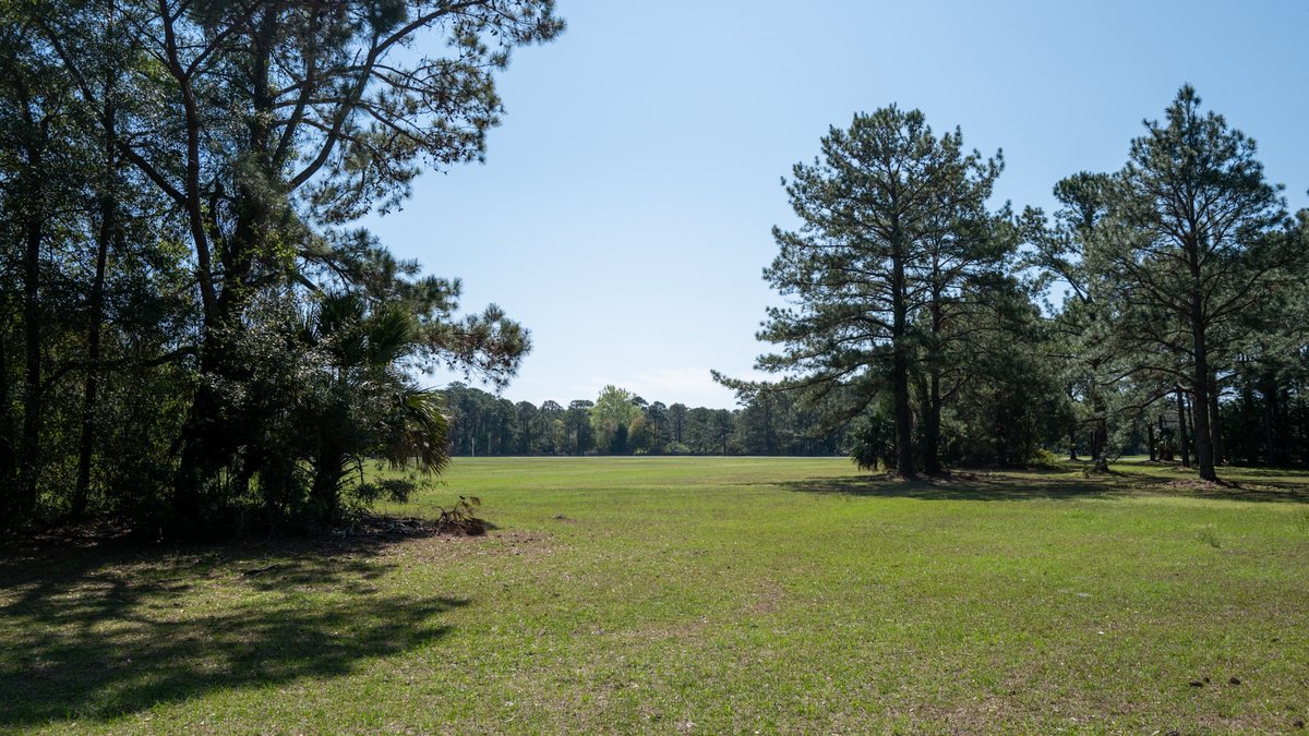 Field and pines. The pasture meets the pine woods on the north side of the grounds.