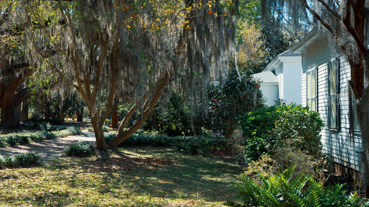 The house garden side. Crape myrtle and garden plantings along the side of the old house.