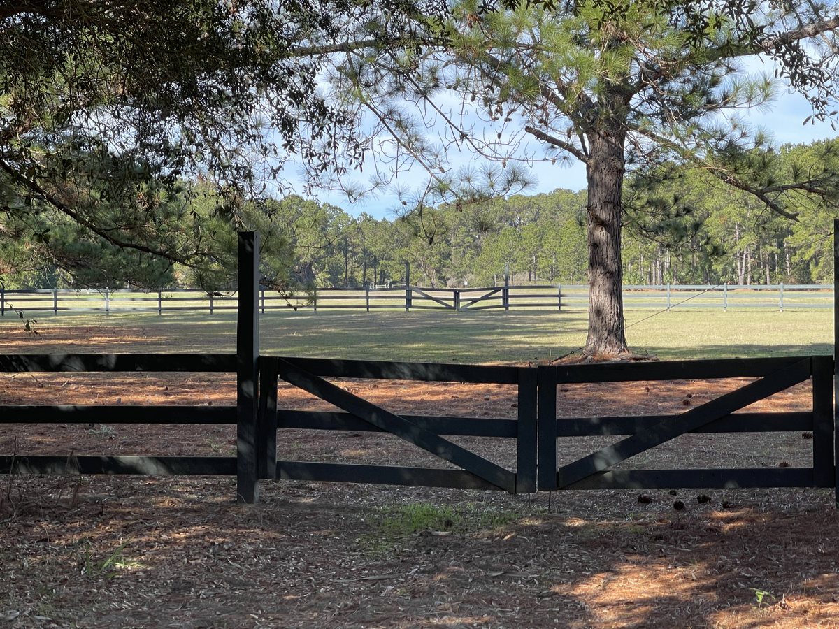 The pasture gate. The black gate into the horse pasture.