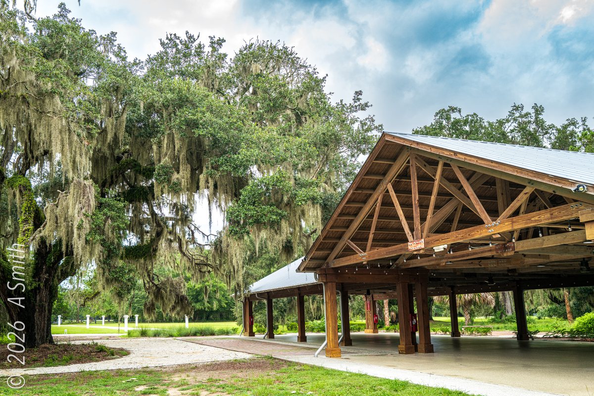 Pavilion timbers. The pavilion’s heavy timber frame from the end wall.