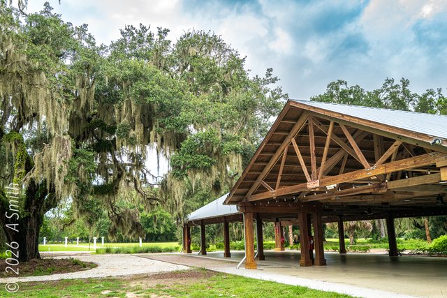 Pavilion timbers.