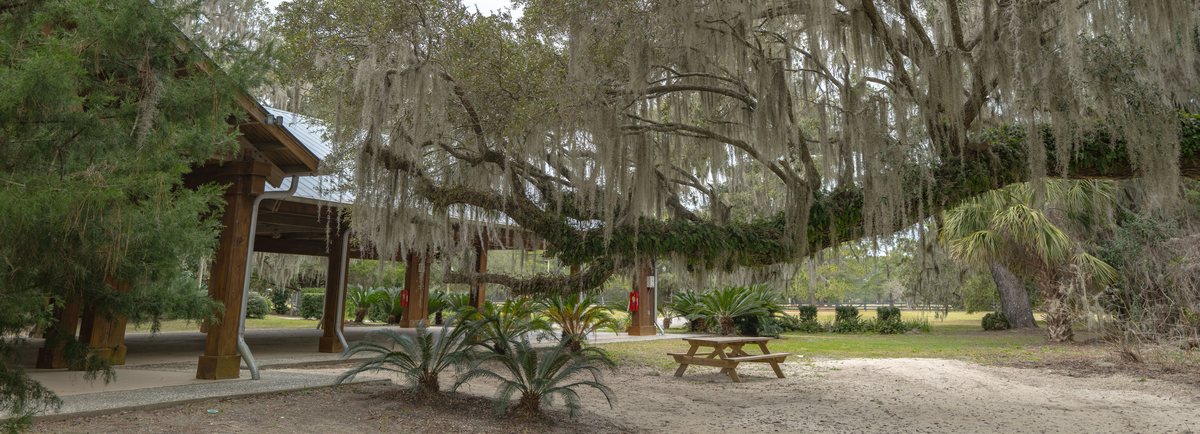 Pavilion shade. Picnic tables in the oak shade beside the pavilion.