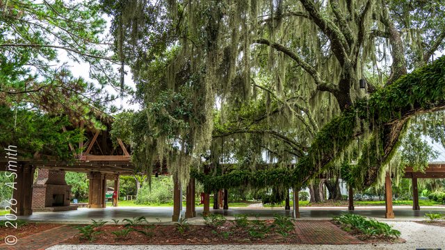Pavilion and oaks.