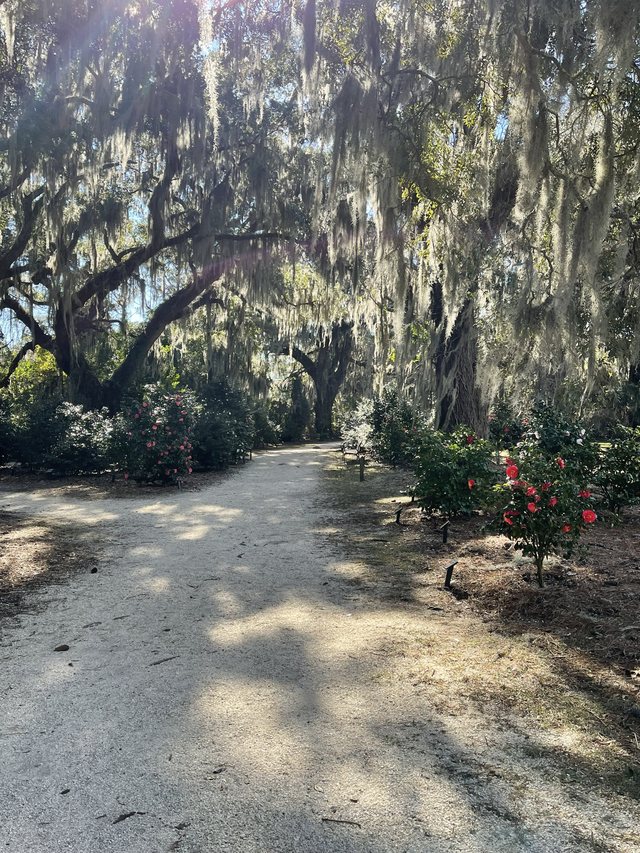 The shaded path.
