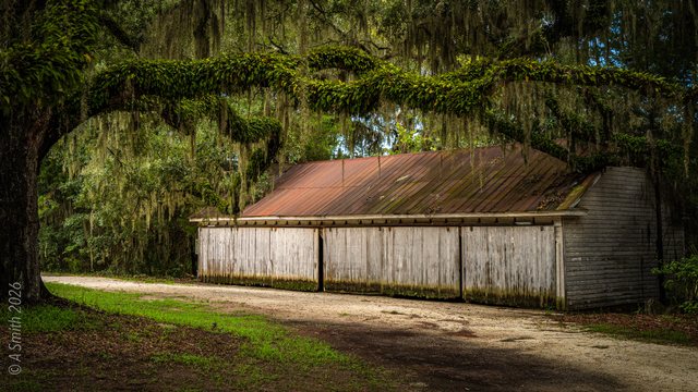 The shed, again.