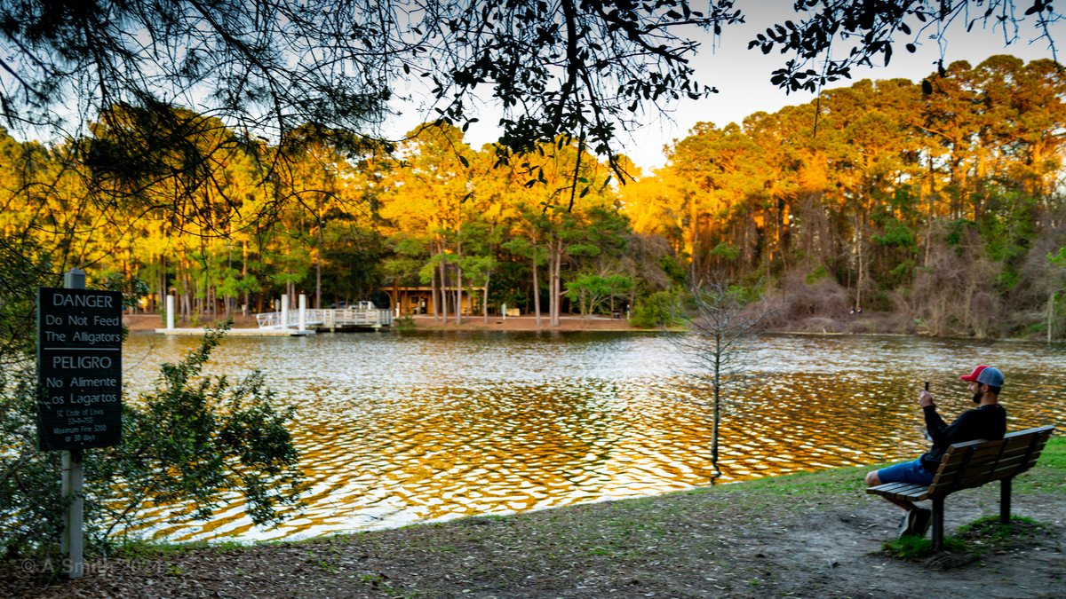 Golden hour bench. A bench above the lake in golden light — the alligator warning stands a few feet away.