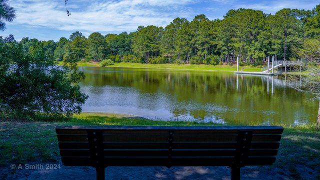 The bench.