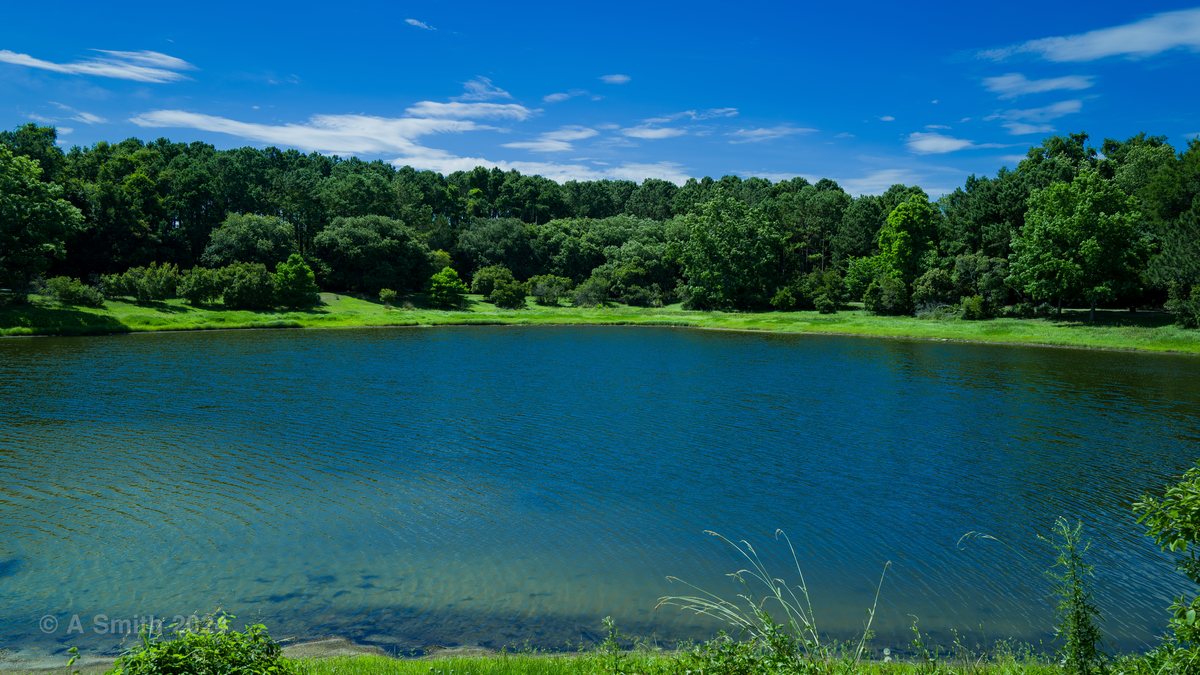 Blue lake. The lake under a hard blue June sky.