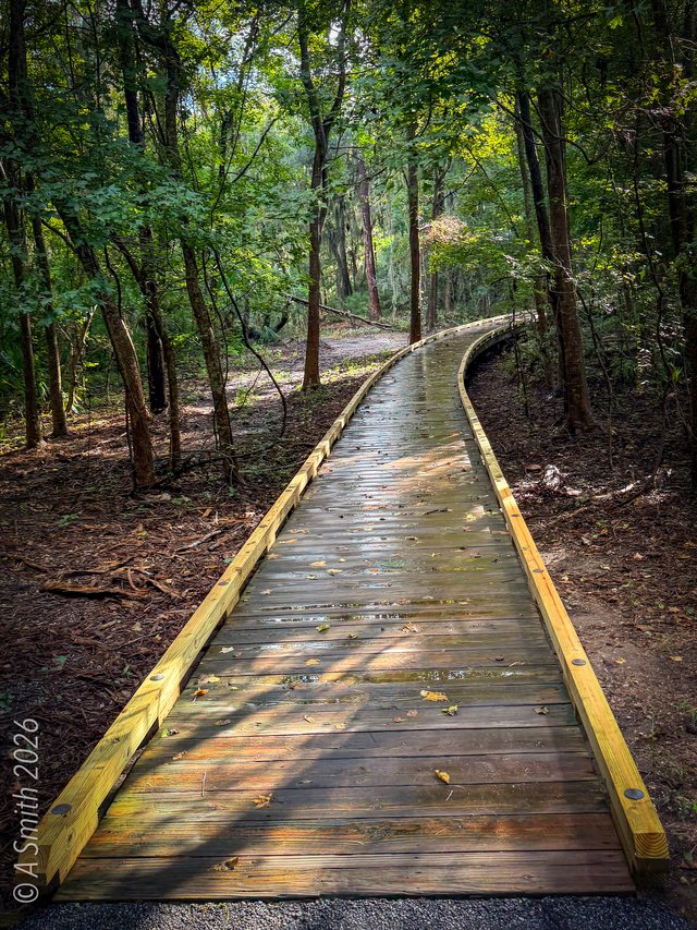 Boardwalk light.
