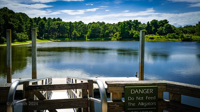 Do not feed the alligators.