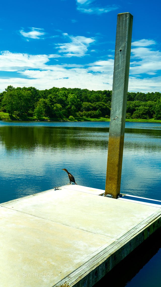 Dock post.