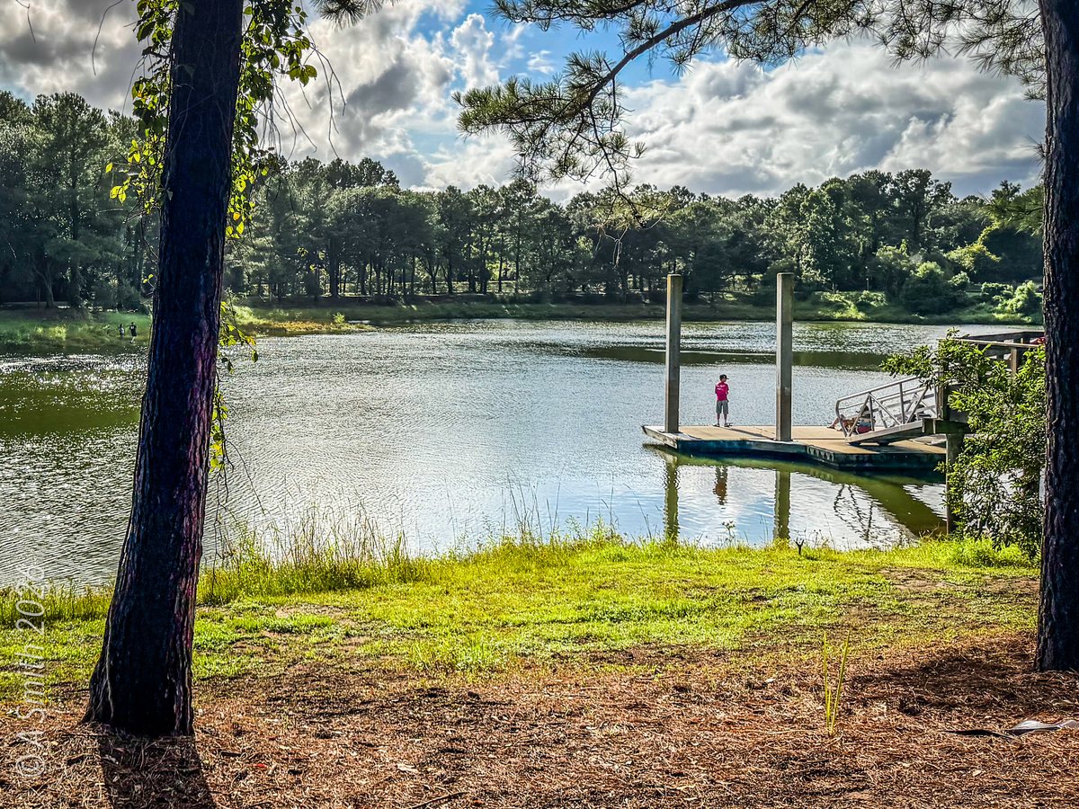 Dock through the pines. Anglers on the floating dock, seen through the pines.