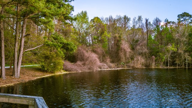 Early spring shore.