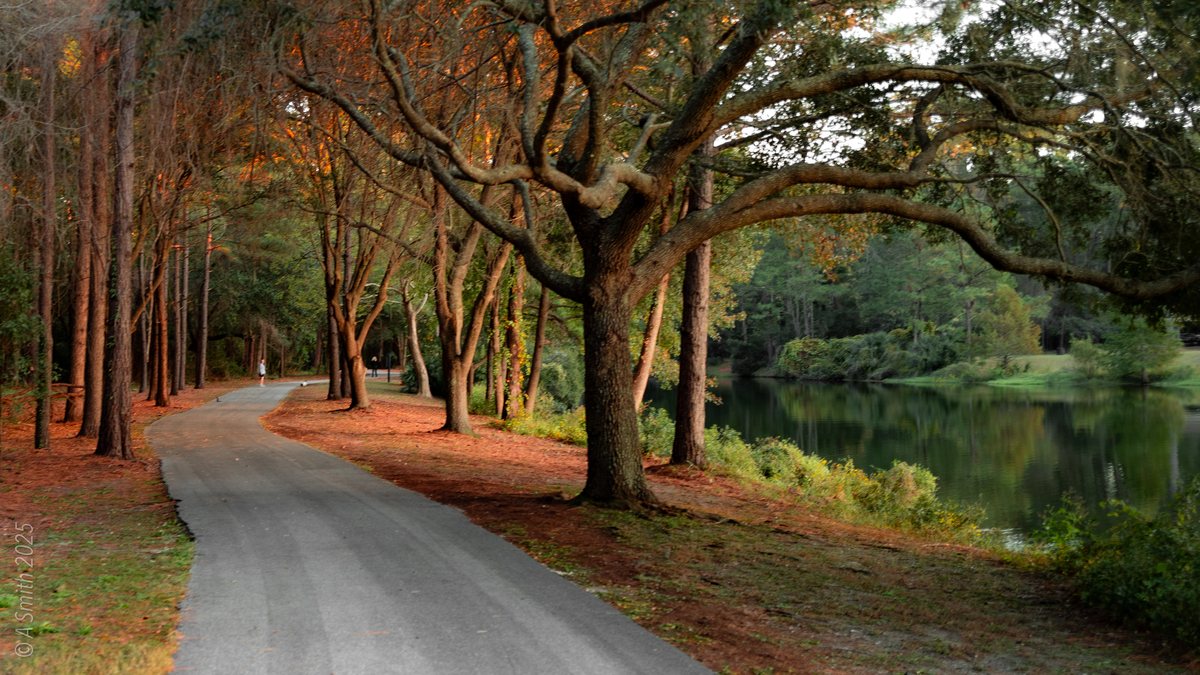 The fall loop. The path runs the lakeshore under turning oaks.