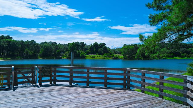 From the pier deck.