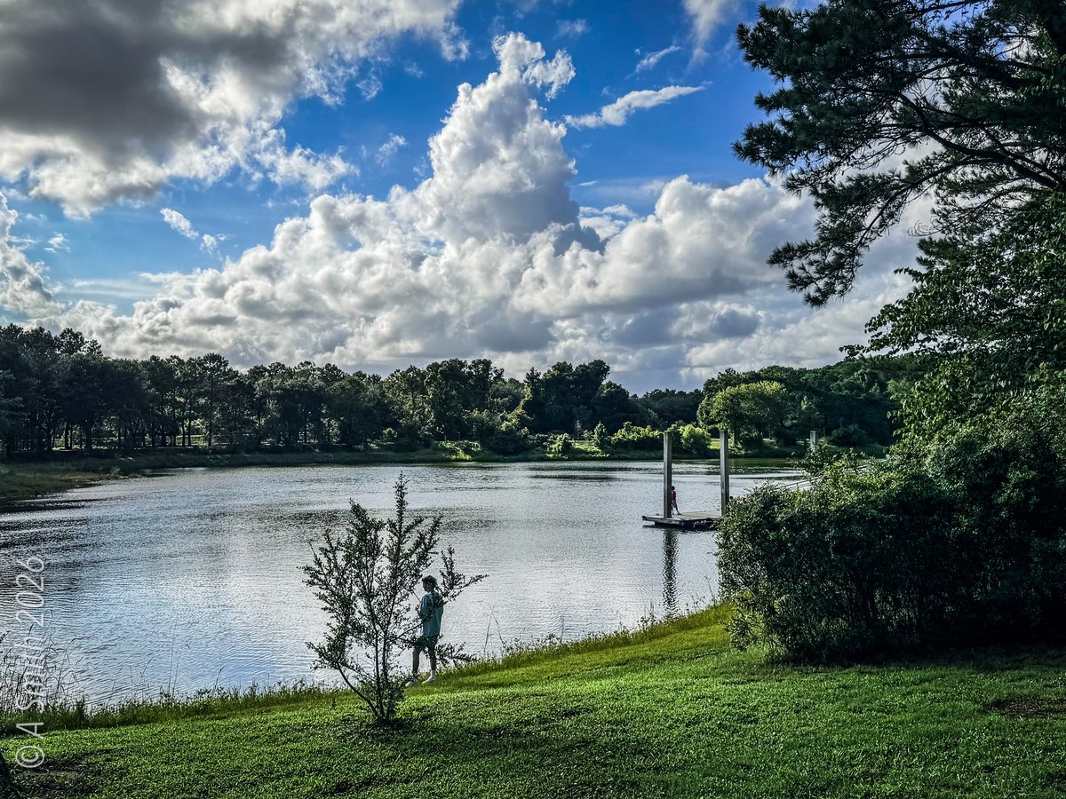 Across to the dock. The floating dock from the west bank, one cypress standing guard.