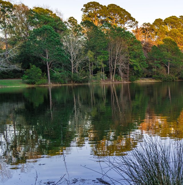 Mirror lake.