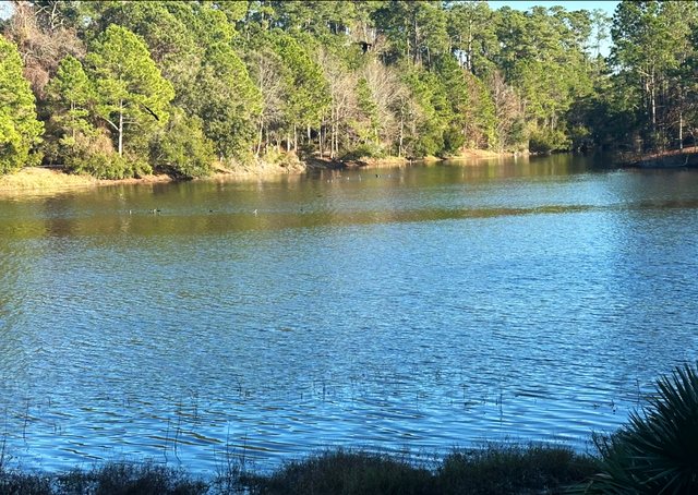 Open water.