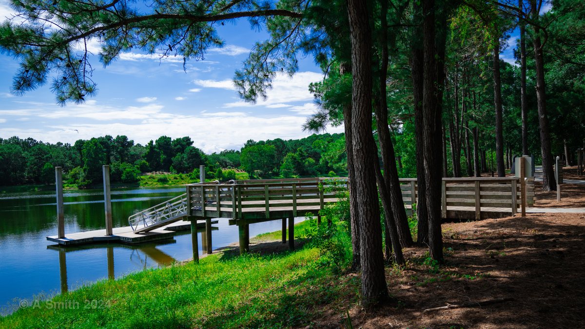The pier from the shore path. The boardwalk pier juts into the lake along the loop.