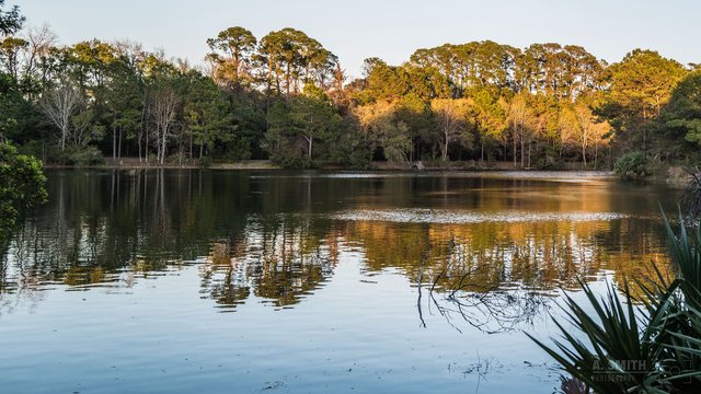 Still water.