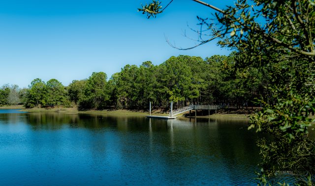 Teal water.