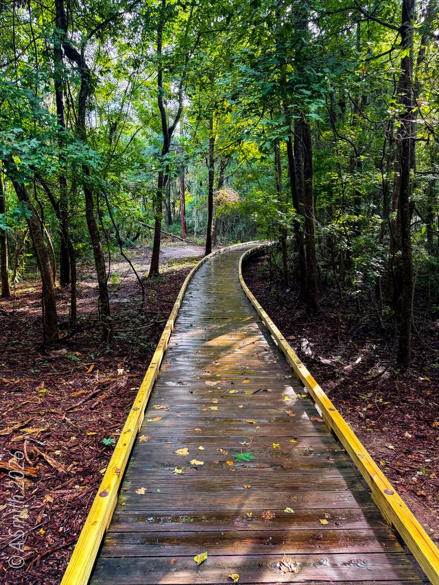 The boardwalk.