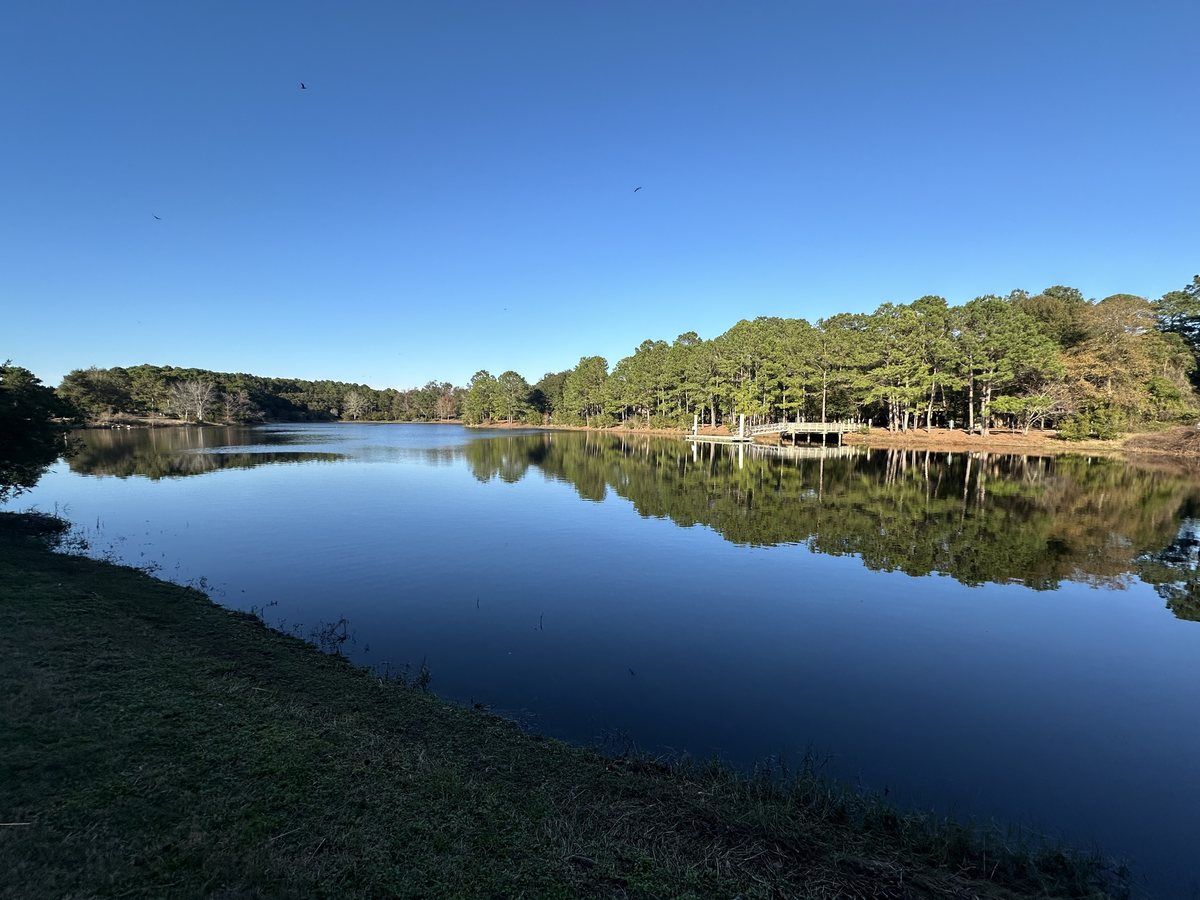 Lake Liggett, wide. The full reach of the lake under a clear winter sky.