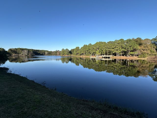Lake Liggett, wide.
