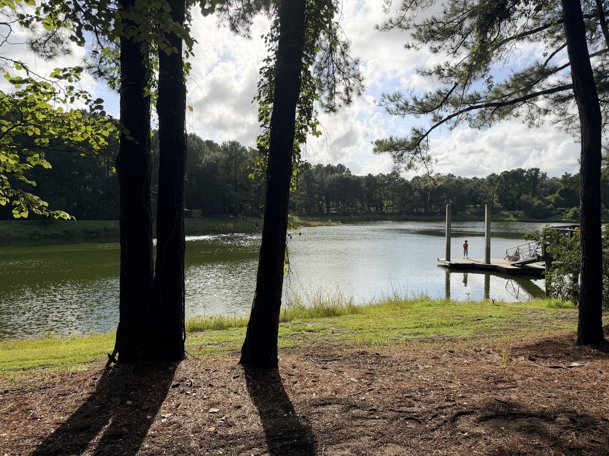 Through the pines. The floating dock framed by two pine trunks.