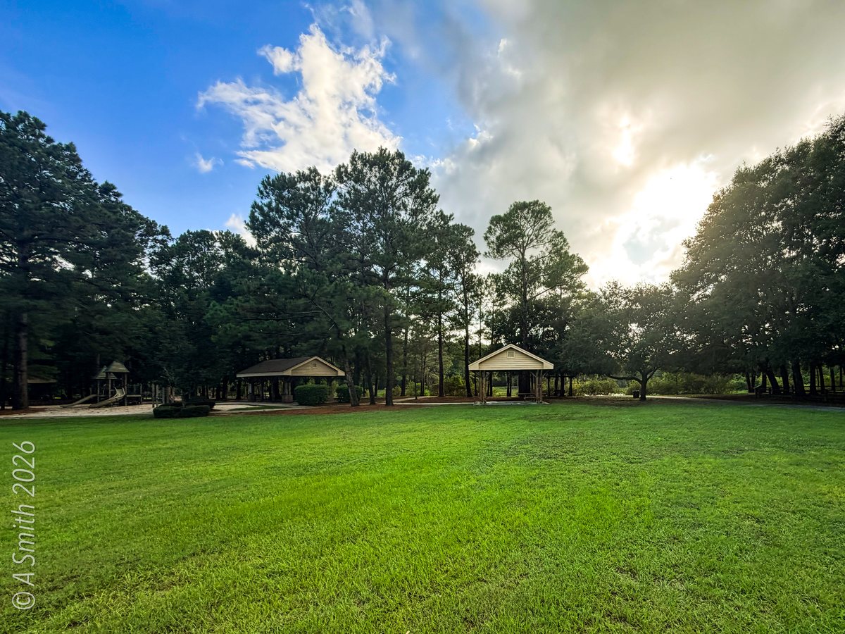 Two shelters. Both picnic shelters across the big lawn in evening sun.