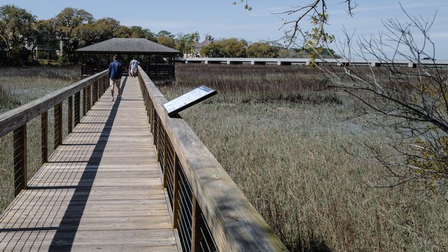 Oyster Alley Boardwalk. The boardwalk runs out over the marsh toward Jarvis Creek.