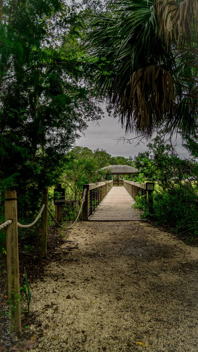 The way in.