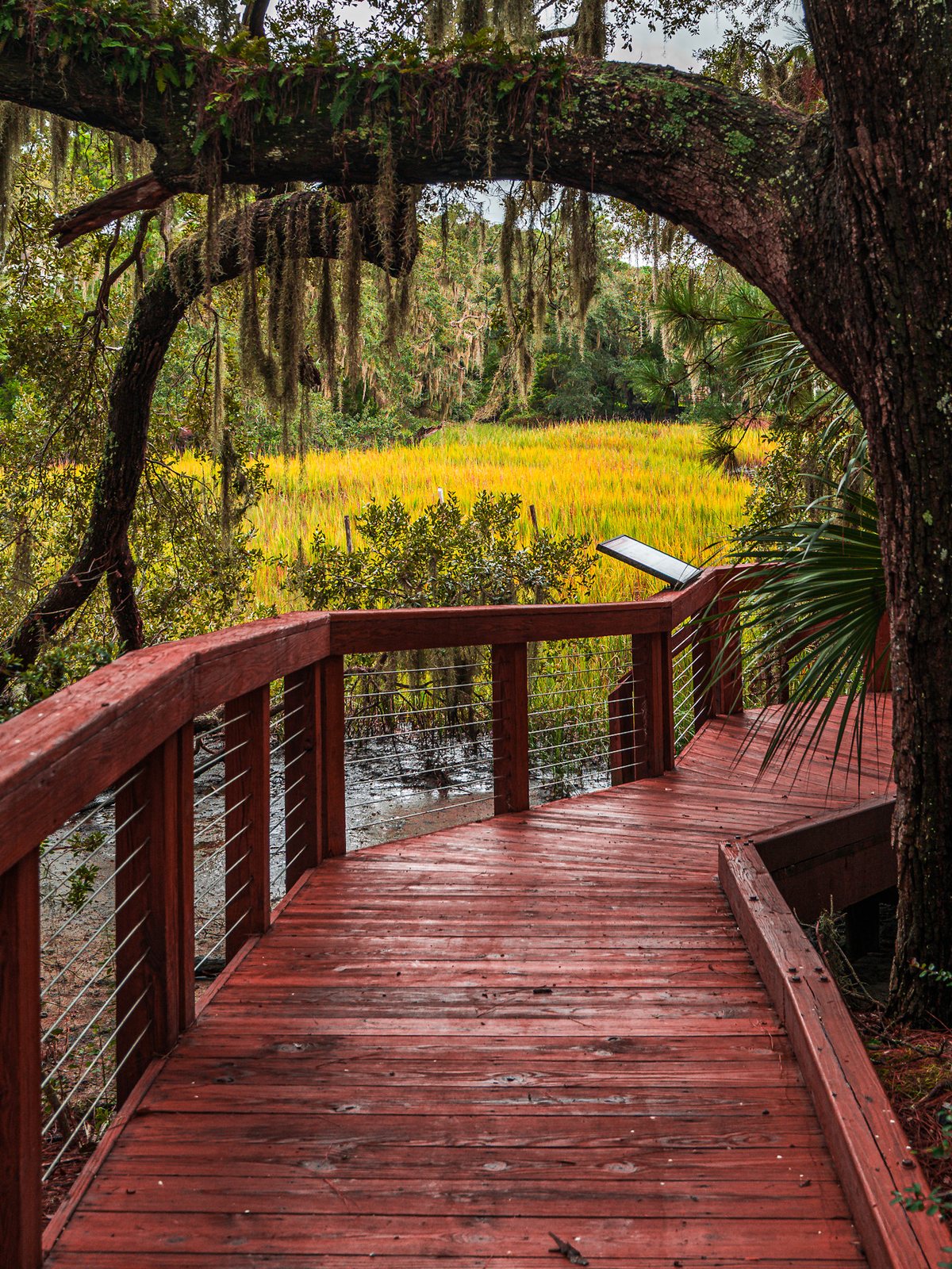 Low water. The boardwalk at low tide, mud and cordgrass below.