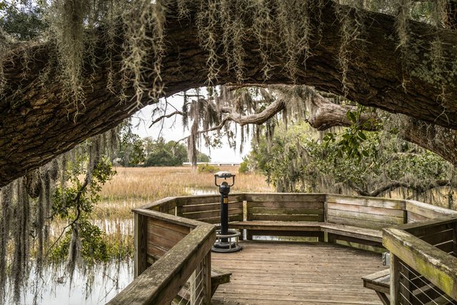The marsh deck.