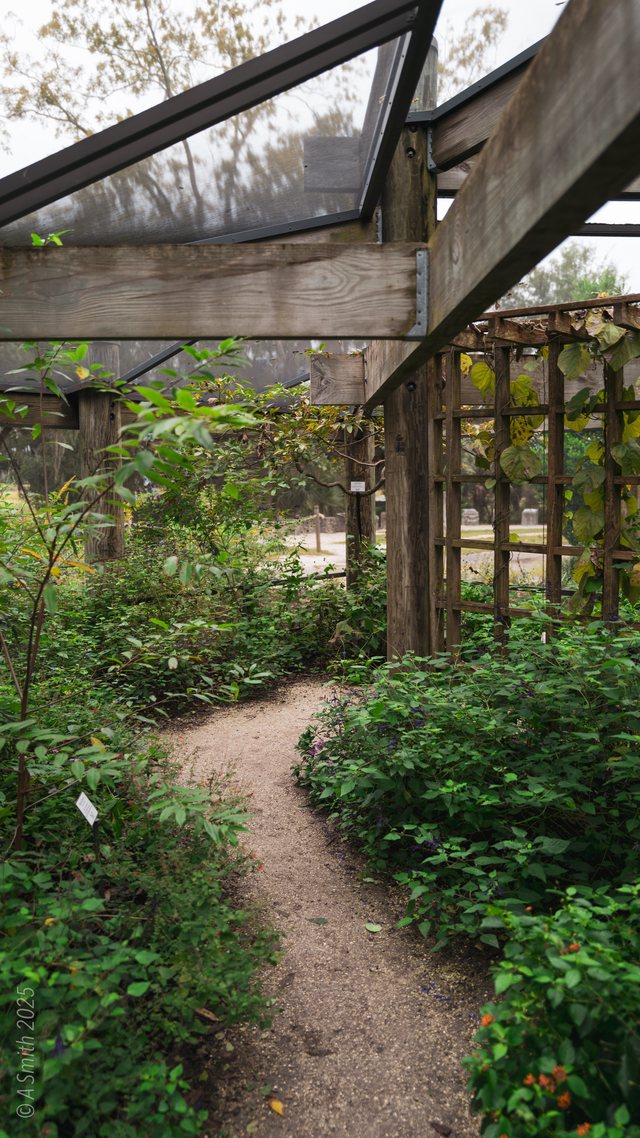 The garden path.