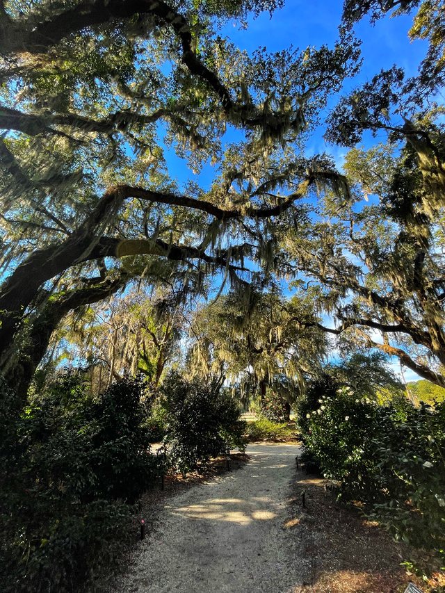 The garden path.