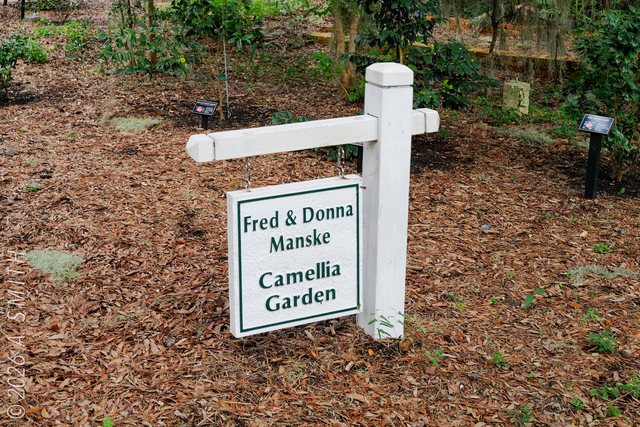 Fred & Donna Manske Camellia Garden.