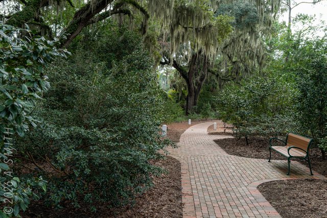 The pathway.