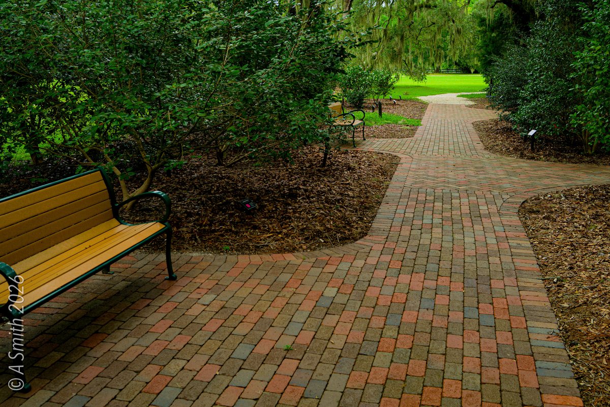 Brick pavers. The brick walk and a bench in the garden’s shade.