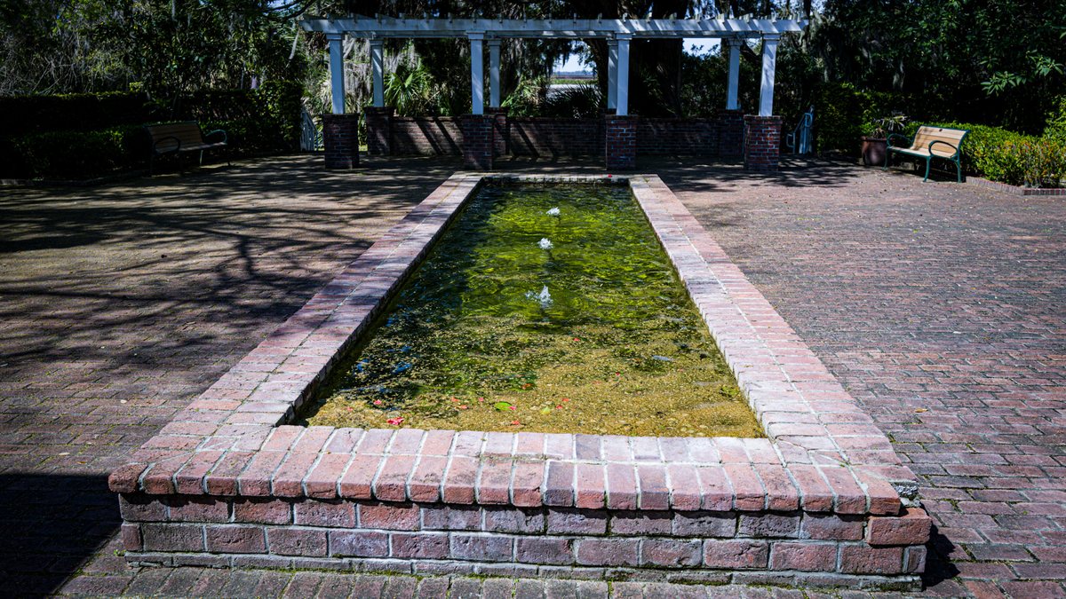 The pool, greened. The reflecting pool in its quiet season, grassed over and still.