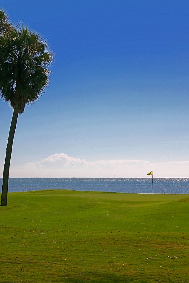 The 18th green at Melrose Golf Course, a palm tree at left and the ocean behind