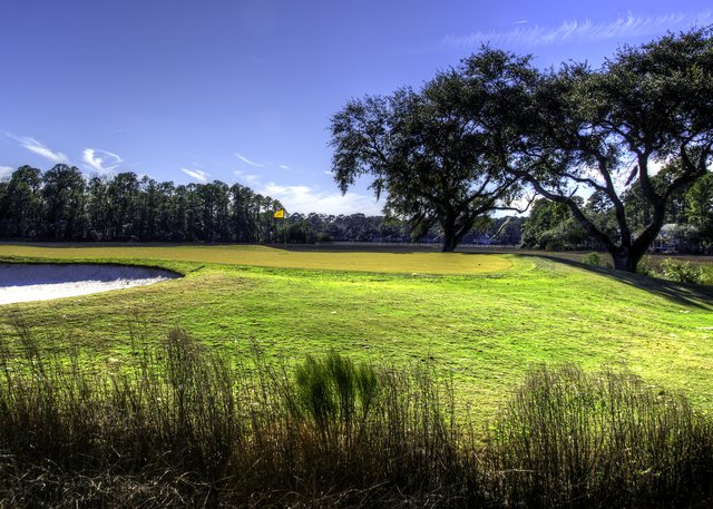 Hole 15, par 3. A wide look at the par-3 15th green — bunker left, live oaks behind, marsh grass in front. It is the most-viewed golf photo in this archive.