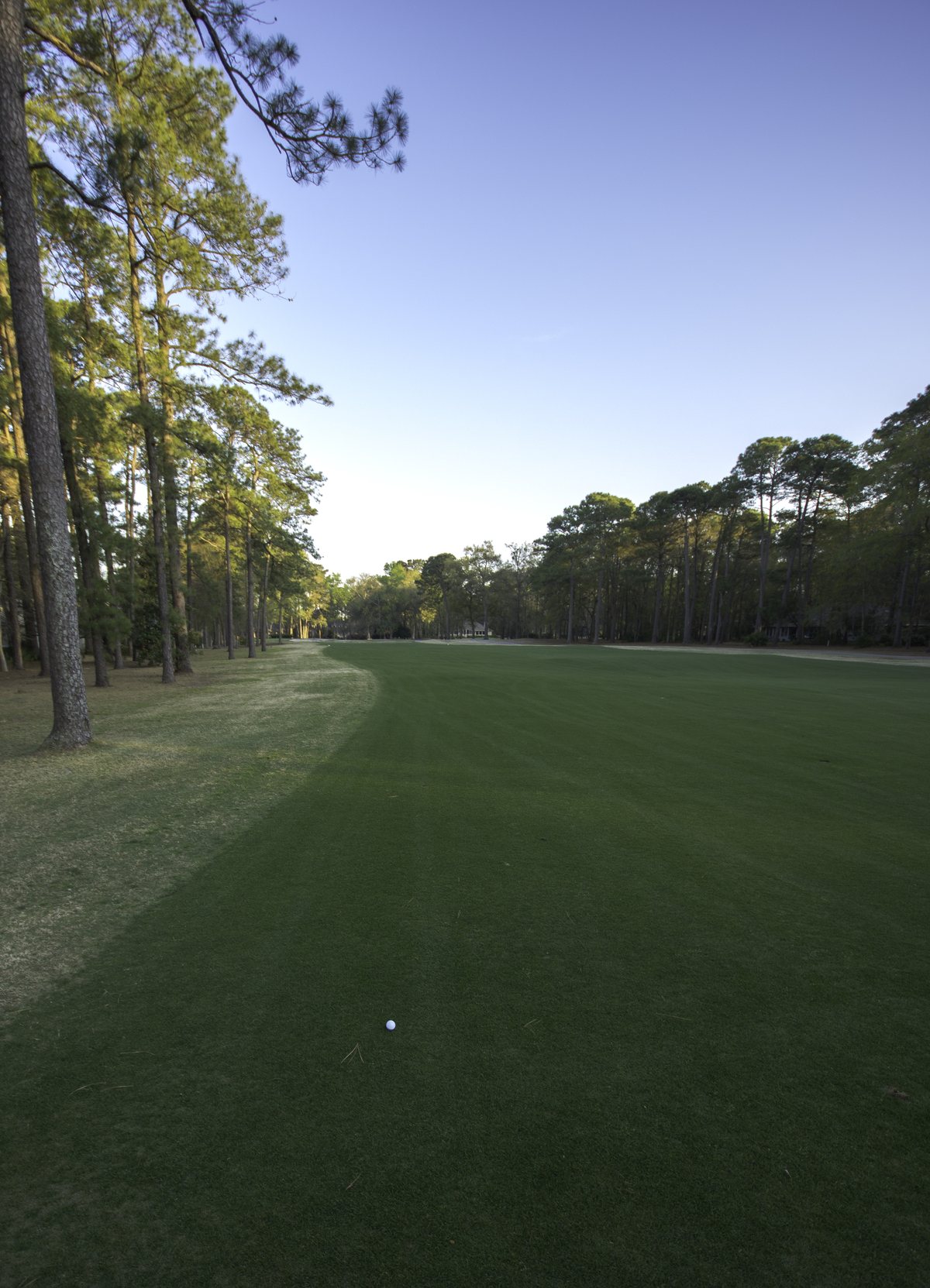 North Course, Hole 15. Down the 15th fairway, a ball waiting its turn.